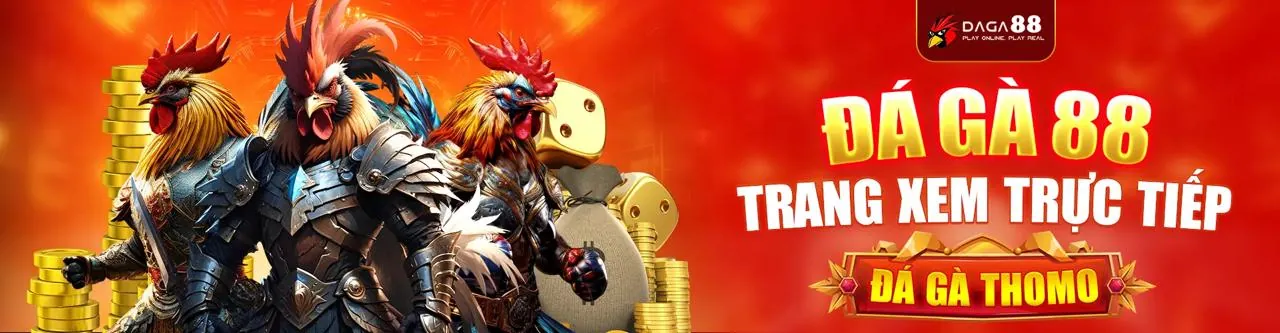 bj6606 casino games overview