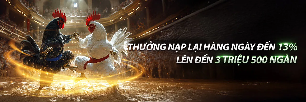 Hình ảnh giới thiệu Chương Trình VIP bj6606