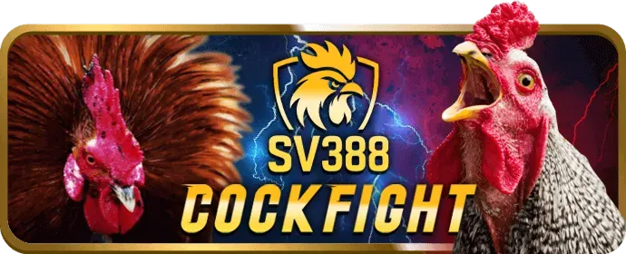 Ưu đãi chào mừng thành viên mới bj6606